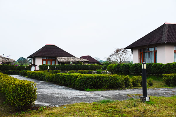 Musa Retreat Lodge
